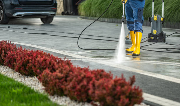 Best Residential Pressure Washing Services  in Byron, CA