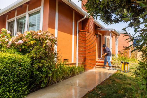 Best Affordable Pressure Washing  in Byron, CA